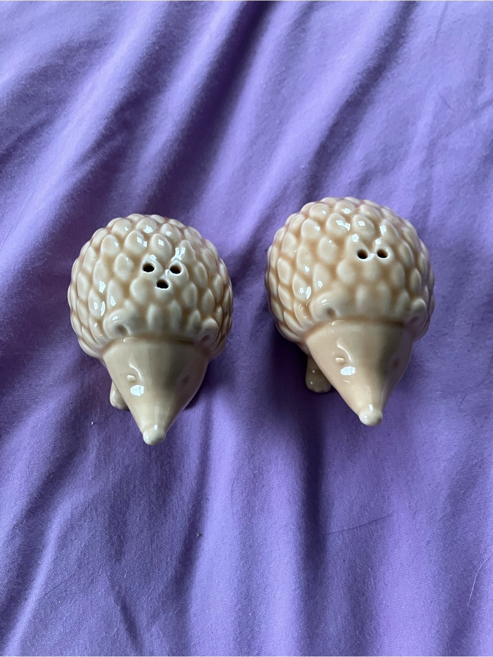 Hedgehog Salt & Pepper Shakers